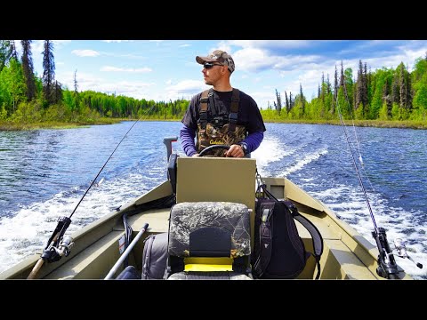 Summer Journey to Our Lakeside Cabin