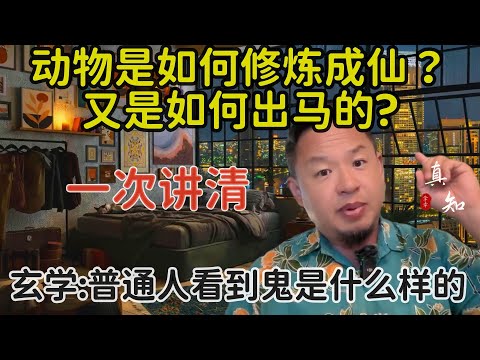 老王来了：一次讲清出马仙 | 动物是如何修炼成仙的？| 普通人看到的鬼是什么样的 |有仙家找上你该怎么办 |如何分辨真实有功力的出马师傅 |