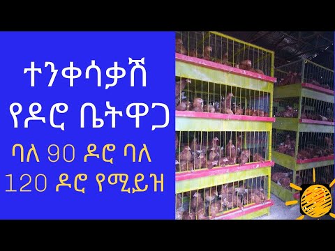 ተንቀሳቃሽ የዶሮ ቤት ዋጋ ባለ 90 ዶሮ ባለ 120 ዶሮ