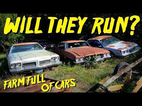 Abandoned Farm FULL of Old Cars - Will They RUN & DRIVE??