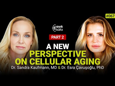 SUPPLEMENTS, MEDICATIONS, AND LONGEVITY STRATEGIES | 067 PART 2 DR. SANDRA KAUFMANN, MD