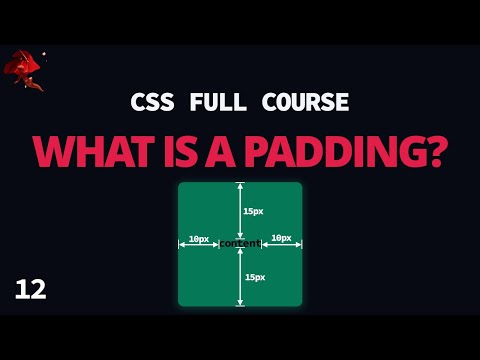 Learn CSS Padding In 5 Minutes