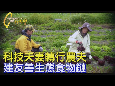 【彰化】科技夫妻轉行農夫 替黑翅鳶架棲架 建構友善生態食物鏈∣一步一腳印【夫妻倆的新理想人生】20250309