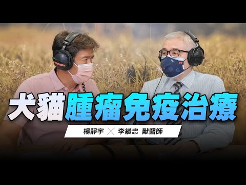 '22.10.03【全能狗S 寵物當家】李繼忠獸醫師談「犬貓腫瘤免疫治療」