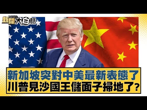 新加坡突對中美最新表態了 川普見沙國王儲面子掃地了？【#新聞大白話】20251120 6｜#邱毅 #介文汲 #徐和謙 @tvbstalk