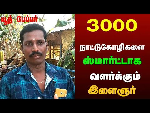 3000 நாட்டு கோழிகளை ஸ்மார்ட்டாக வளர்க்கும் இளைஞர் நாட்டு கோழிபண்ணை  country chicken farming