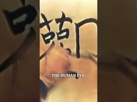 Alan Watts on the art of seeing - from 'Silent Mind' in the 'Eastern Wisdom & Modern Life' series