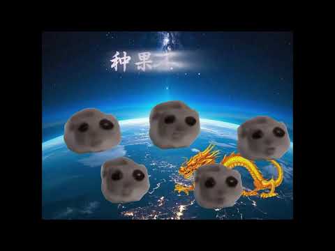 当你失恋兄弟刚好唱你会的歌时#猫meme #内容过于真实 #可以爱你也能忘记你