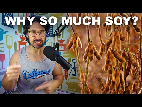 Why U.S. farmers rely on soy (and why they're in trouble)