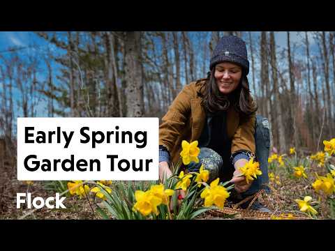 Early SPRING GARDEN Walk + Upcoming Garden Chores — Ep. 301