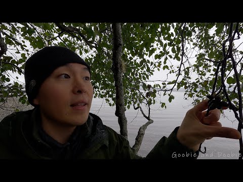 Why I Chose Not To Have A Child In Today's Culture Environment Overpopulation And How People Reacted