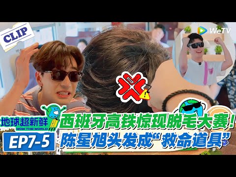 【地球超新鲜】7-5：地球超新鲜高铁玩脱了！词语接龙输了拔头发、薅腿毛，陈星旭陈赫腿毛多到可以输到福建！#地球超新鲜 #孙红雷 #李乃文 #陈赫 #刘宇宁 #龚俊 #陈星旭 #王玉雯