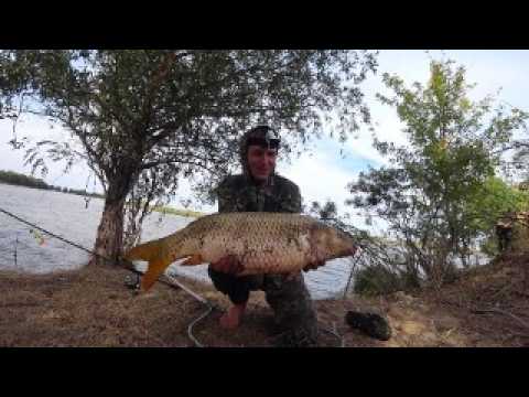 ВАУ... ДА ТУТ ВСЯ РЫБА. ВОТ ЭТО УЛОВ. САЗАН И СУДАК В СИЛЬНЫЙ ВЕТЕР. Рыбалка на закидушки и спиннинг