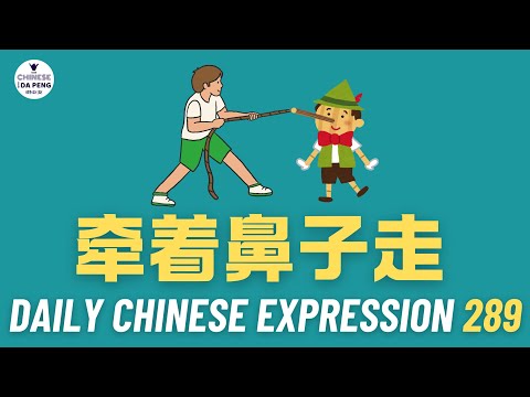 Daily Chinese Expression 289「牵着鼻子走」 Intermediate Chinese podcast -Speak Chinese with Da Peng