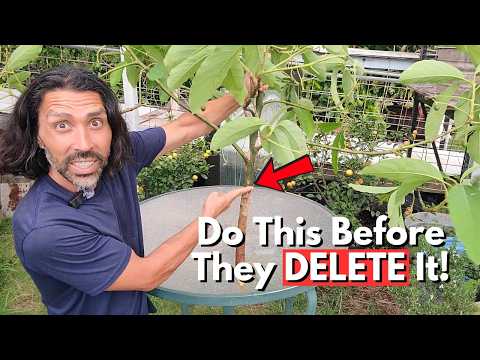 I Could Get SUED For Sharing This Fruit Cloning Hack… Here’s How!