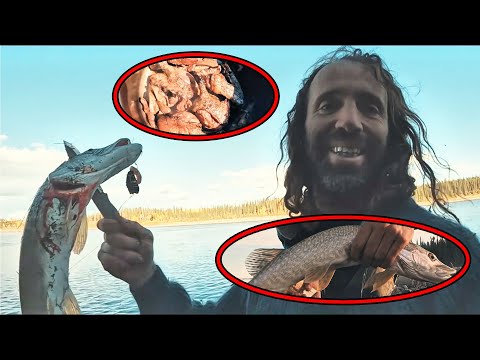 Survive 32 Days For A $500,000 Prize; Man Catches Grouse And Fish For Tasty Dishes.