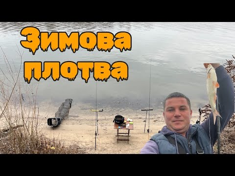 The frosts are coming - they are bringing roach!