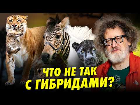 Гибриды — двигатель эволюции? | Ученые против мифов 23-11 | Сергей Глаголев