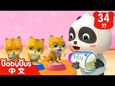 寵物生病了 | 小醫生來幫忙 | 經典兒歌特輯 | Kids Song | 童謠 | 動畫 | 卡通片 | BabyBus | 寶寶巴士