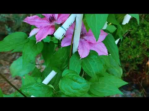 ЗОНЫ ОТДЫХА в саду.