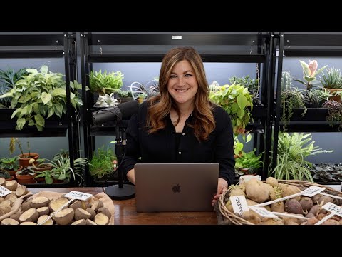 Do You Get Overwhelmed With Everything You Need to Do? // Potting Soil Vs Potting Mix // Recap! 🌿