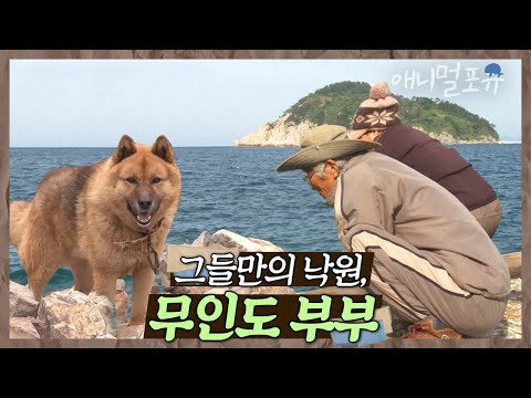 전기도, 물도 없던 무인도에 단둘이 사는 부부?! ⛰ 동물들과 함께 꾸린 낙원 | 그들만의 낙원 | KBS 인간극장 2014 방송