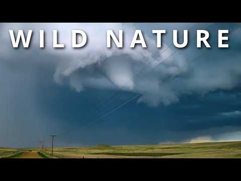 WILD NATURE | Natural places that Don’t seem real