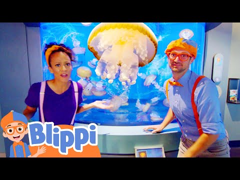 Giant Jellyfish Aquarium | Blippi | Shows for Kids - Explore With Me!