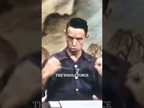 Alan Watts - The Stream of Life