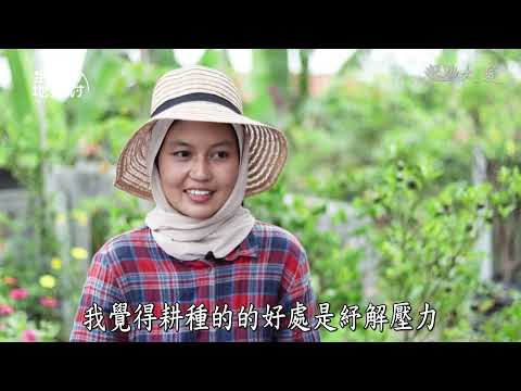 【生活地球村】 屋頂上耕種仍然充滿活力 20251130