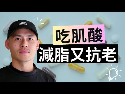 肌酸的 3 大功效、迷思破解、補充方法，最強補給指南 15 分鐘一次講完！