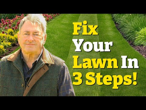 My 3-Step Fix for a Greener Lawn (Moss, Edges & Bald Patches Sorted!)