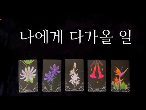 [Tarot] What's Coming to Me