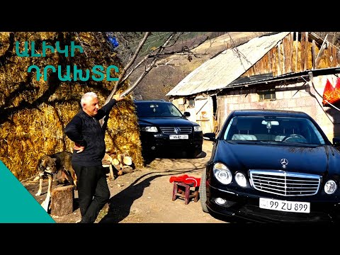 Էս գոմով,անասունով ու թրիքով դռանս մերսեդես ու տուարեգ ա  կանգնած. Ֆերմեր Ալիկը