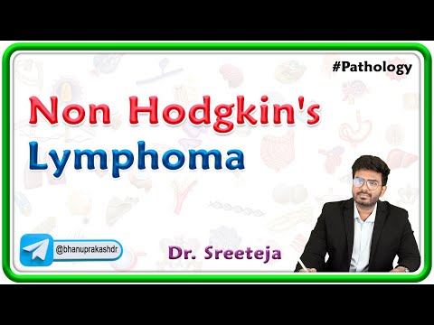20. Non Hodgkin's Lymphoma | USMLE Step 1 Pathology