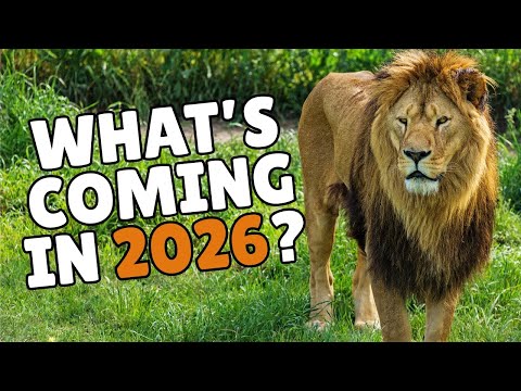 What’s Coming to Florida in 2026?