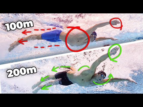 How to Swim BUTTERFLY Like the BEST in the World