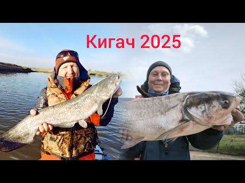 Рыбалка в Астраханской области на реке Кигач. Апрель 2025