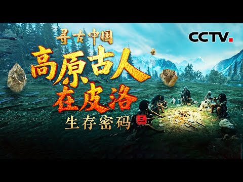 约20万年前的古人类如何应对寒冷冰期?远古人类为何前赴后继登上青藏高原?《高原古人在皮洛·生存密码》| CCTV「寻古中国」20260422