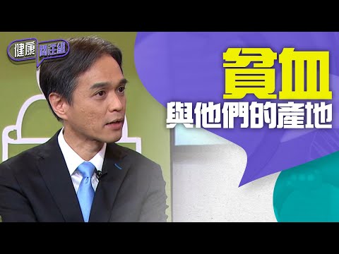 健康關注組｜ EP130 PT1｜  貧血與他們的產地｜ 貧血症 ｜ 缺鐵性貧血症 ｜ 地中海貧血症 ｜ 敖嘉年 ｜ 黃芳雯 ｜HOY TV 77台