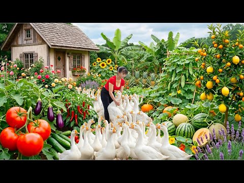 TIMELAPSE: Peaceful Slow Living | Harvest 100Kg Giant Forest Goose & Rare Goose Egg, Cook Spicy Soup
