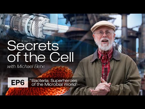 Bacteria: Superheroes of the Microbial World (Secrets of the Cell, Episode 6)