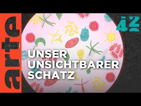 Beherrscht uns das Mikrobiom? | 42 - Die Antwort auf fast alles | ARTE