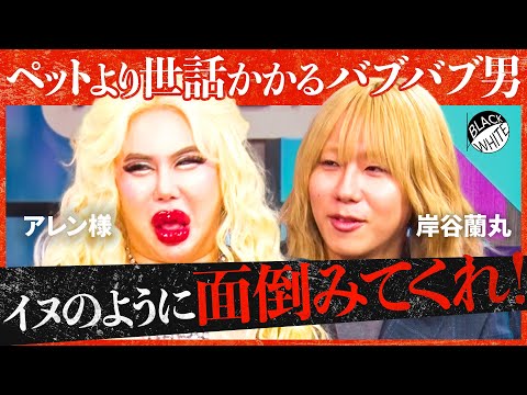 「イヌを飼ってる女の子は…」蘭丸の特殊性癖が炸裂！ペットは家族扱いで良い？飼育に年齢制限は必要？さらに番組から”重大告知”も…【アレン様×トンツカタン森本】