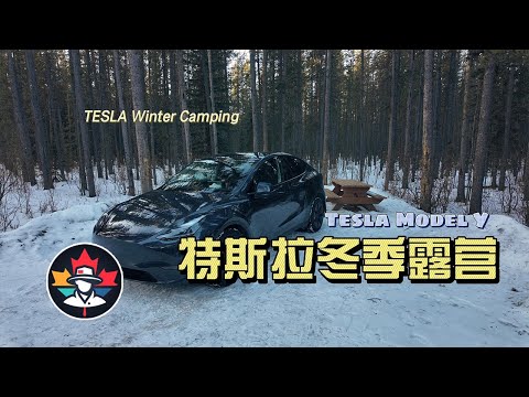 特斯拉冬季露营什么感受？Tesla Winter Camping | 凯文老男孩