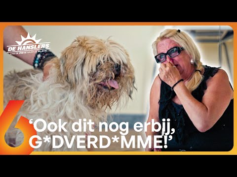 VERDRIETIG! Is het EINDE NABIJ voor BEAUTIFUL BOY? 🐶😢 | De Hanslers