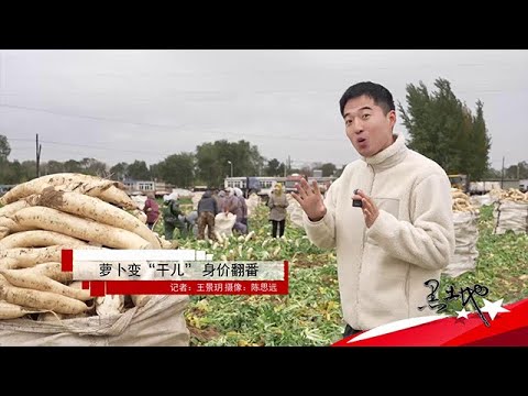 黑土地 20251022：蘿蔔變「幹兒」身價翻番