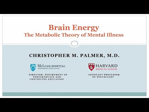 Dr. Chris Palmer presentation: Brain Energy, The metabolic Theory of Mental Illness