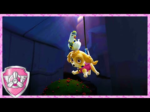 Skye Drops To Save Her Friend! (Compilation) | Skye - Paw Patrol & Friends | Cartoons For Kids
