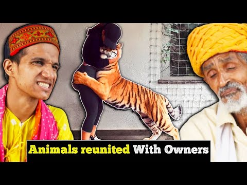 Villagers React To These Animals Reunited With Owners After Years ! Tribal People React to Animals